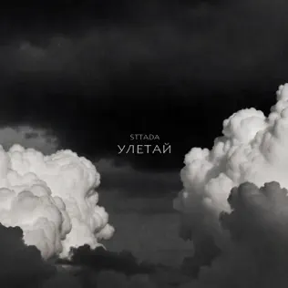 Обложка трека "Улетай - sttada"